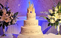 Theme Cakes