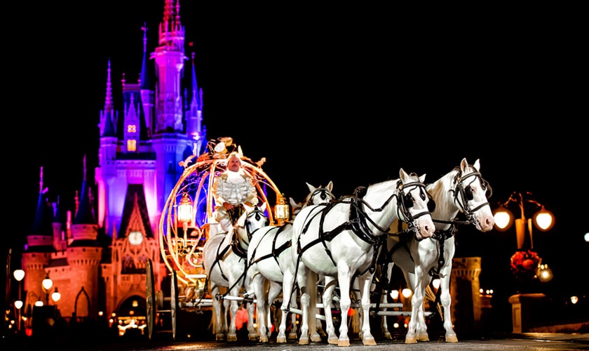 A coachman in Cinderella's Crystal Coach drives 6 horses outside Cinderella Castle at night