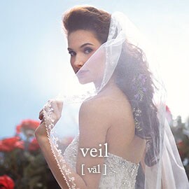 Veil Veil