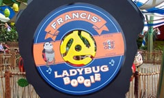 Francis' Ladybug Boogie Sign