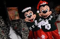 Mickey Mouse and Minnie Mouse at Mickey's Holiday 5K at Disney's Animal Kingdom Theme Park