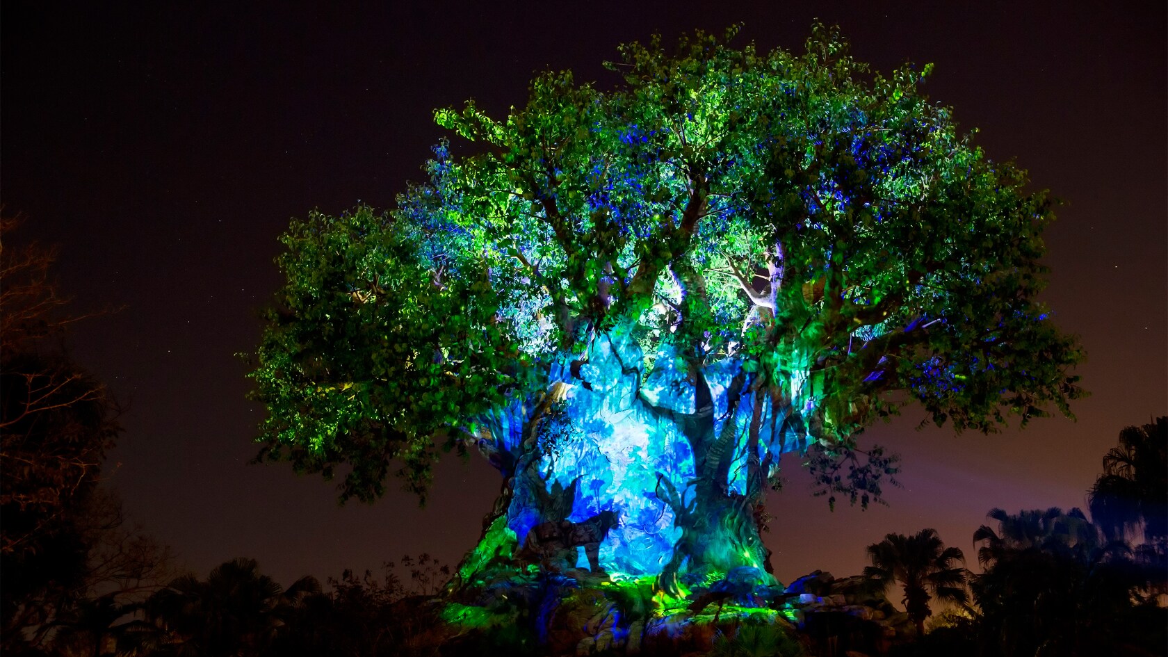 Tree of Life Animal Kingdom Attractions Walt Disney World Resort