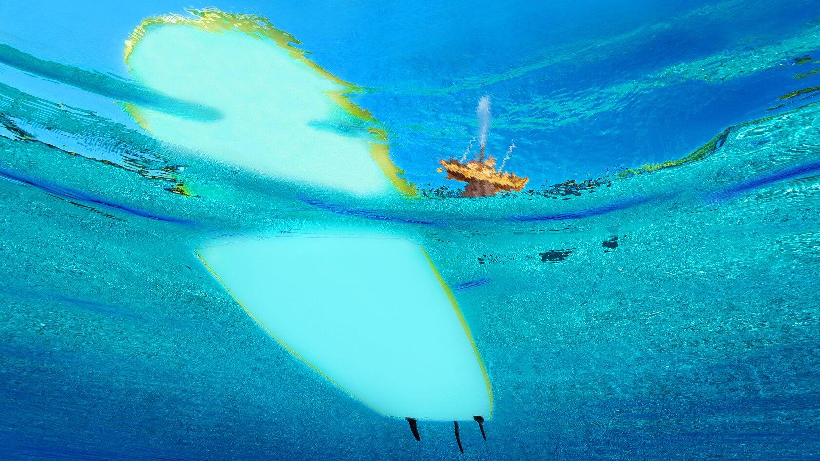 Surf Lessons Typhoon Lagoon Recreation Walt Disney World Resort