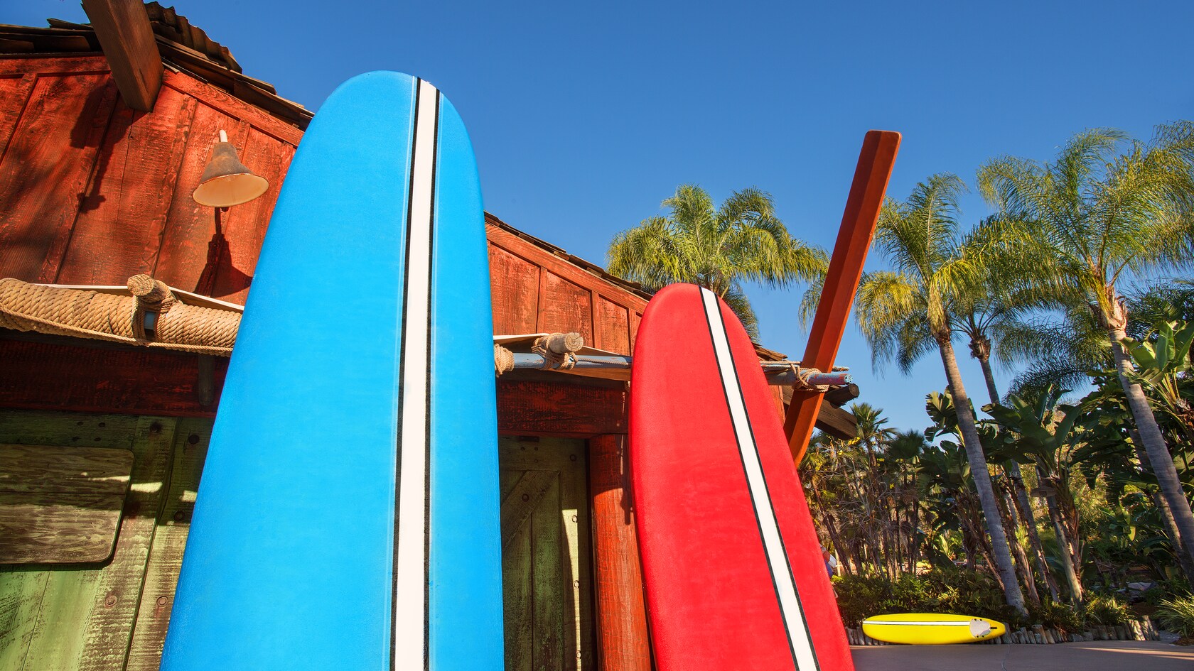 Surf Lessons Typhoon Lagoon Recreation Walt Disney World Resort
