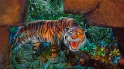 A fierce tiger bares its teeth in the dark jungle