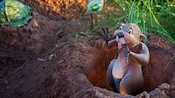 Gopher shows surprise as he comes up from his hole in Rabbit's Garden