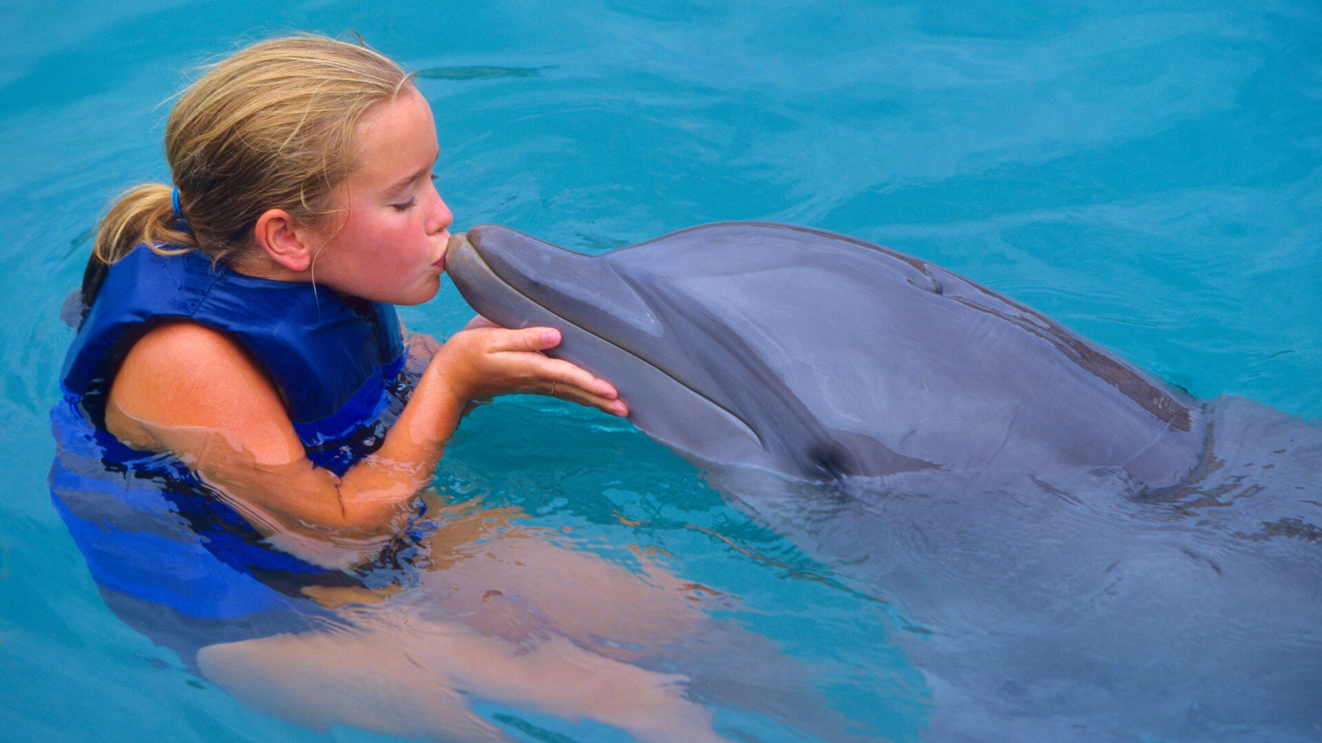 Дельфины с удовольствием разучивают. Дельфинотерапия для детей. Chelovel dilfin. Дельфины малыши. Дельфины и люди.