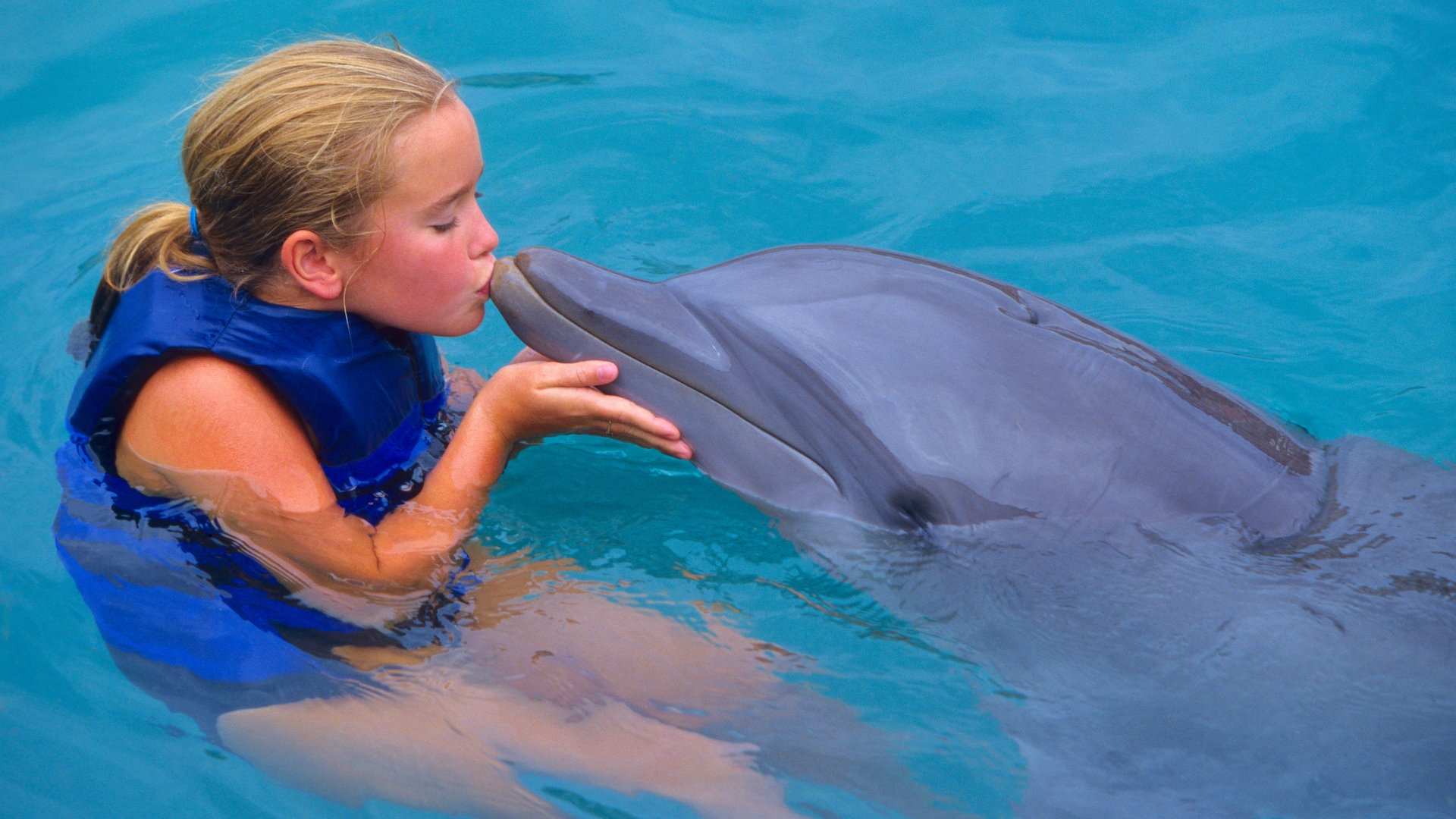 Дельфины с удовольствием разучивают и выполняют разные. Дельфинотерапия для детей. Chelovel dilfin. Дельфины малыши. Дельфины и люди.
