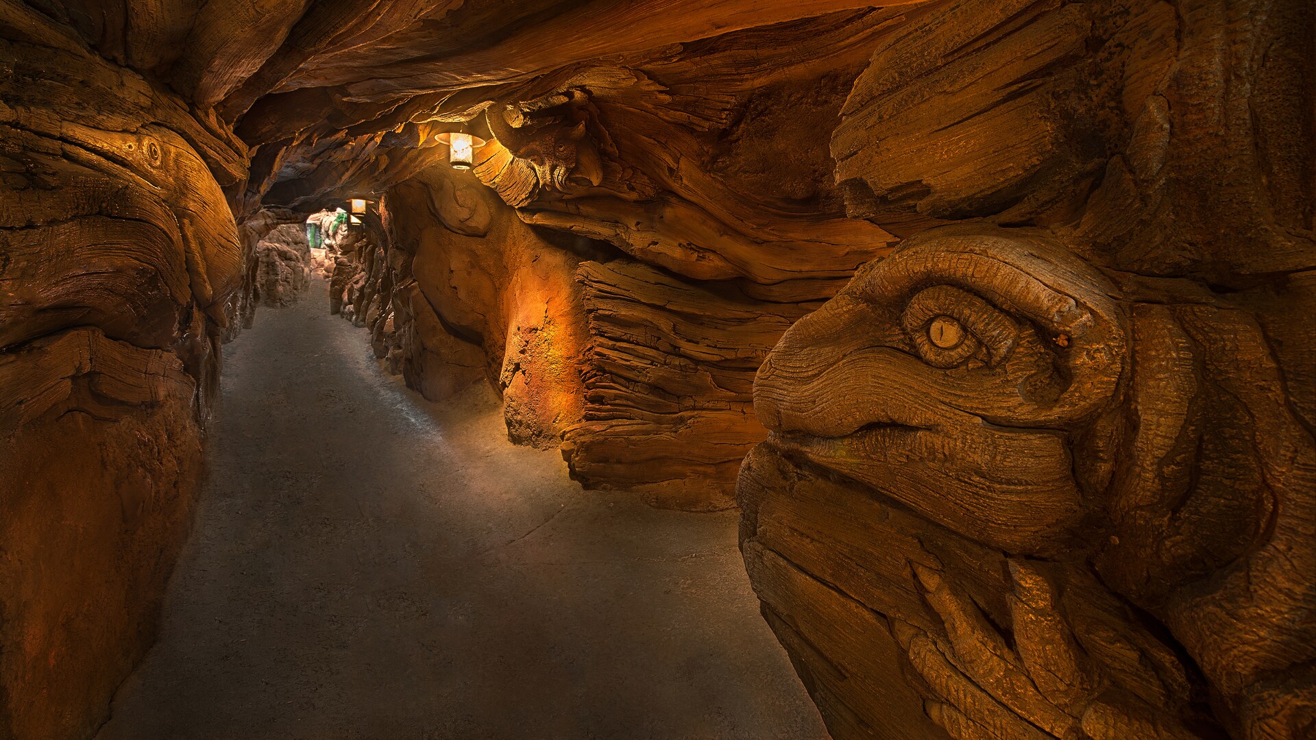 Tree Of Life Animal Kingdom Attractions Walt Disney World Resort