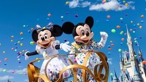 Magic Kingdom Theme Park Walt Disney World Resort Party With Disney Pals