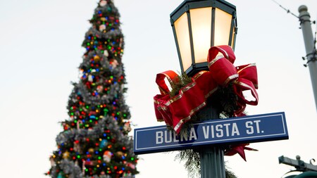 A Christmas tree near a street lamp with a street sign that reads Buena Vista Street