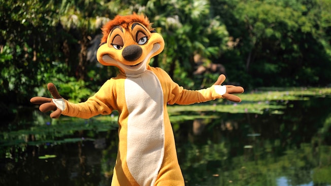 New Experiences Announced for Disney's Animal Kingdom | The Kingdom Insider