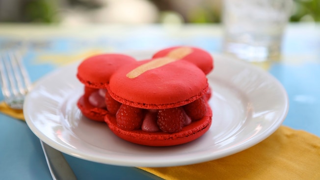 Image result for raspberry macaroon california adventure