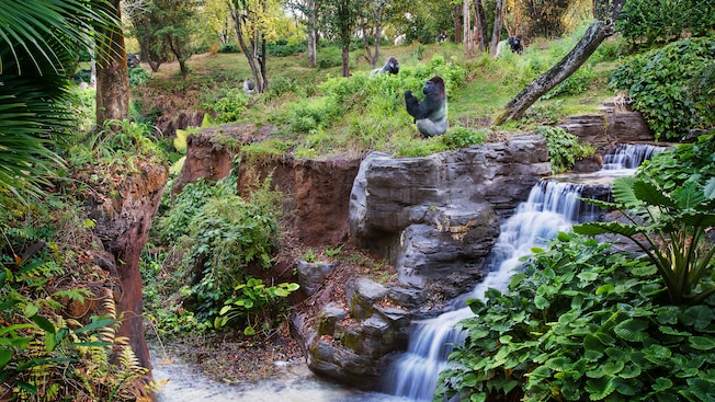 Three gorillas sit on a grassy hillside close to a brook and a cascading waterfall