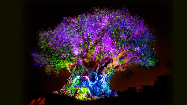 The Tree of Life awakens at nighttime with vibrant lights, animal projections and special effects