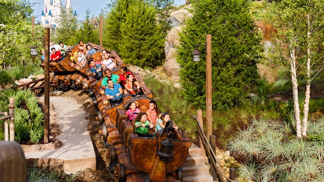 Guests riding a roller coaster over a hill, with Cinderella Castle in the background.