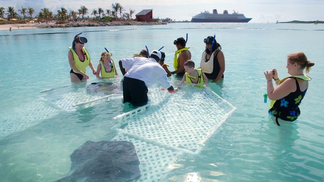 Children and their parents gather around a shallow water stingray habitat to interact with the animals