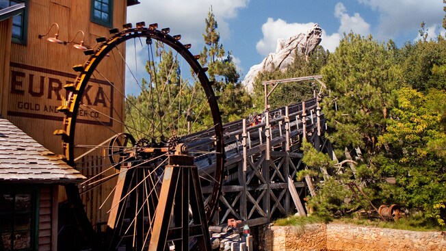 Image result for grizzly river run