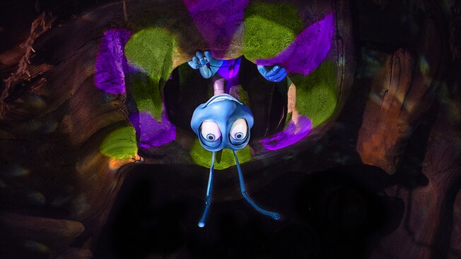 It's Tough to be a Bug! | Animal Kingdom Attractions | Walt Disney