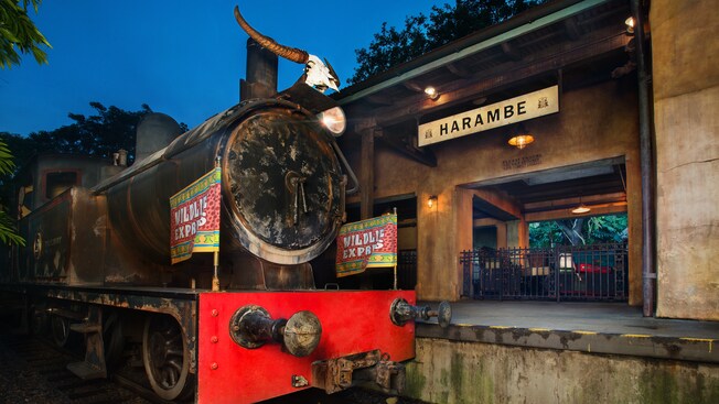 Wildlife Express Train | Animal Kingdom Attractions | Walt Disney World