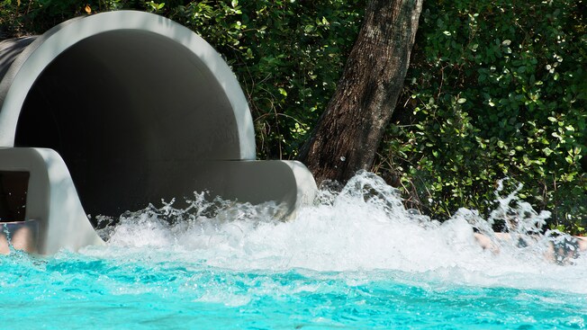 Runoff Rapids Blizzard Beach Attractions Walt Disney World Resort