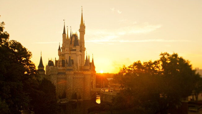 Cinderella Castle | Walt Disney World Resort