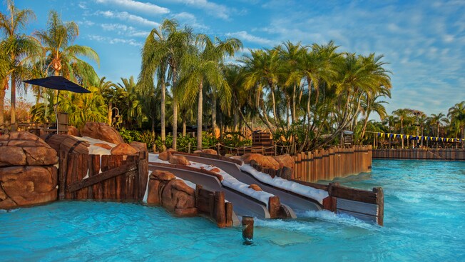 Bay Slides | Typhoon Lagoon Attractions | Walt Disney World Resort