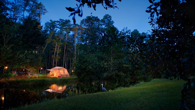 Overview of a tent at Disney's Fort Wilderness Resort
