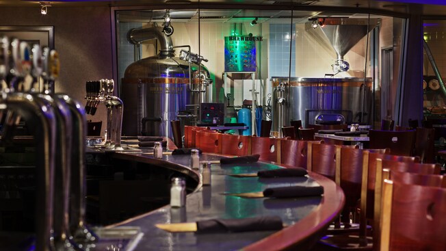 Row of chairs at bar, with brewing equipment in the background