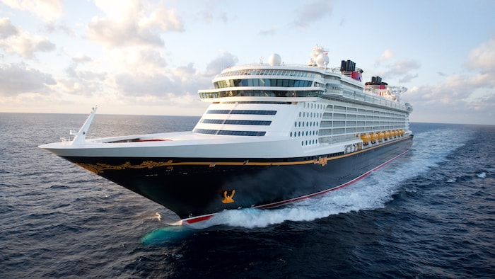 The Disney Dream