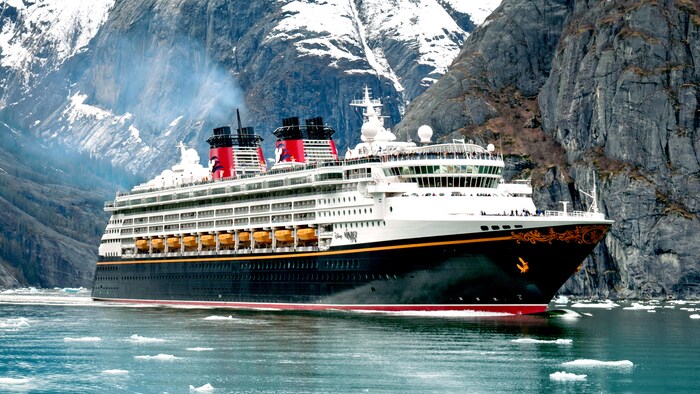 The Disney Wonder
