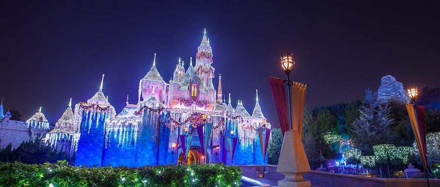 When Does Disneyland  Decorate For Christmas  2019  