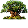 Tree of Life Icono de Tree of Life